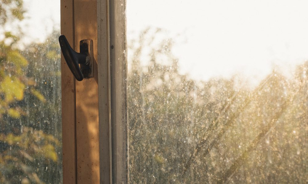 Schmutzige Fensterscheibe im Frühjahr – die ersten Sonnenstrahlen machen das Problem erst sichtbar